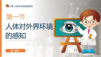 初中生物人教版（2024）八年级上册（2024）第一节 人体对外界环境的感知课堂教学课件ppt