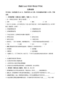 2025年甘肃省武威市中考生物真题（含答案解析）
