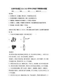 北京市东城区2024-2025学年七年级下学期期末生物试卷（解析版）