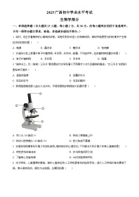 2025年广西省初中学业水平考试中考（会考）生物试卷(真题+答案)
