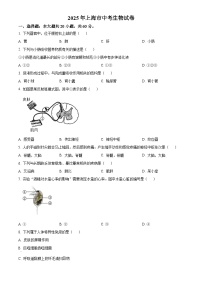 2025年上海市初中学业水平考试中考（会考）生物试卷(真题+答案)