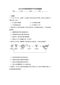 2025年河南省安阳市中考生物试题（附答案解析）