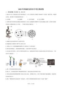 2025年河南省安阳市中考生物试卷（含答案）