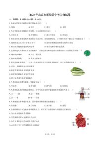 2025年北京市朝阳区中考生物试卷（含答案）