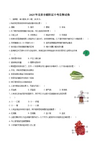 2025年北京市朝阳区中考生物试卷（含答案）