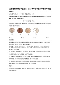 山东省潍坊市坊子区2024-2025学年七年级下学期期中生物试卷（解析版）