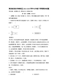 陕西省西安市碑林区2024-2025学年七年级下学期期末生物试卷（解析版）