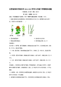 江苏省泰州市泰兴市2024-2025学年七年级下学期期末生物试卷（解析版）