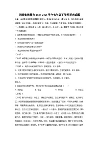 河南省鹤壁市2024-2025学年七年级下学期期末生物试卷（解析版）