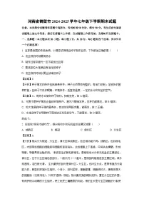 河南省鹤壁市2024-2025学年七年级下学期期末生物试卷(解析版)