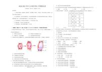 2024-2025 学年七年级生物上学期期末卷含答案