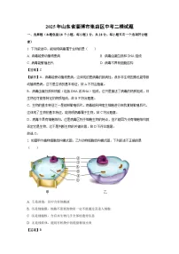 2025年山东省淄博市张店区中考二模[中考模拟]生物试卷（解析版）