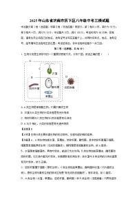 2025年山东省济南市历下区八年级中考三模生物试卷（解析版）