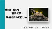 初中生物人教版（2024）七年级上册（2024）两栖动物和爬行动物教课ppt课件
