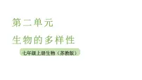 苏教版（2024）七年级上册（2024）种子植物教学ppt课件