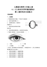 人教版（2024）八年级上册（2024）第一节 人体对外界环境的感知优秀第1课时课后复习题