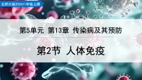 初中生物北师大版（2024）八年级上册（2024）人体免疫教学课件ppt