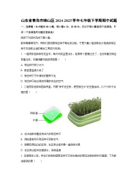 山东省青岛市崂山区2024-2025学年七年级下学期期中生物试卷（解析版）