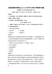 云南省昭通市昭阳区2024-2025学年七年级下学期期中生物试卷（解析版）