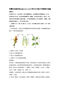 内蒙古赤峰市松山区2024-2025学年七年级下学期期中生物试卷（解析版）