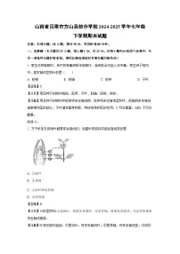 山西省吕梁市方山县部分学校2024-2025学年七年级下学期期末生物试卷（解析版）