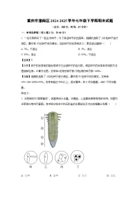 重庆市潼南区2024-2025学年七年级下学期期末生物试卷（解析版）