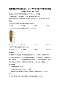 福建省福州市闽清县2024-2025学年七年级下学期期末生物试卷（解析版）