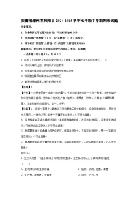 安徽省滁州市凤阳县2024-2025学年七年级下学期期末生物试卷（解析版）