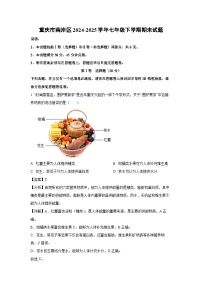 重庆市南岸区2024-2025学年七年级下学期期末生物试卷（解析版）
