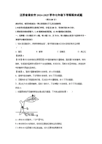 江苏省淮安市2024-2025学年七年级下学期期末生物试卷（解析版）