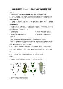 河南省濮阳市2024-2025学年七年级下学期期末生物试卷（解析版）
