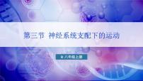 初中生物人教版（2024）八年级上册（2024）第三节 神经系统支配下的运动背景图ppt课件