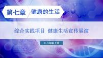 生物八年级上册（2024）第四单元 人体生理与健康（二）综合实践项目 健康生活宣传展演示范课ppt课件