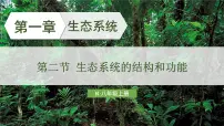 人教版（2024）八年级上册（2024）第二节 生态系统的结构和功能课文配套课件ppt