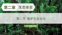 人教版（2024）八年级上册（2024）第二节 维护生态安全教学课件ppt