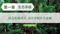 生物八年级上册（2024）综合实践项目 设计并制作生态瓶教案配套ppt课件