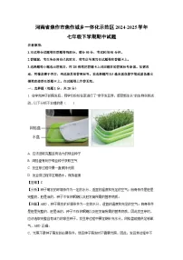 河南省焦作市焦作城乡一体化示范区2024-2025学年七年级下学期期中真题生物试卷(解析版)