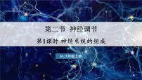 生物第二节 神经调节图文ppt课件