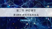 生物第二节 神经调节图文ppt课件