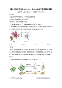重庆市江津区五校2024-2025学年八年级下学期期中生物试卷（解析版）