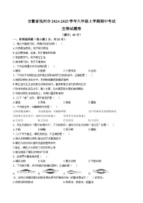 【8生（RJ）期中】池州市2024-2025学年八年级上学期期中生物试题