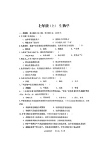【7生（RJ）期末】池州市贵池区2024-2025学年七年级上学期期未检测生物试卷