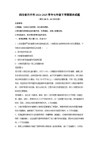 四川省巴中市2024-2025学年七年级下学期期末生物试卷（解析版）