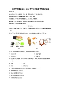 北京市西城区2024-2025学年七年级下学期期末生物试卷（解析版）