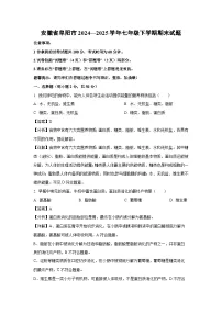 安徽省阜阳市2024—2025学年七年级下学期期末生物试卷（解析版）