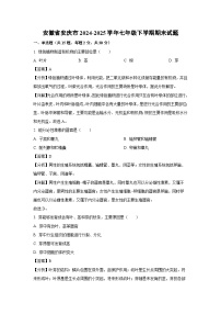 安徽省安庆市2024-2025学年七年级下学期期末生物试卷（解析版）