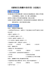 北师大版（2024）七年级上册（2024）植物在生物圈中的作用精品同步达标检测题