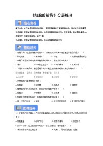 冀少版（2024）七年级上册（2024）细胞的结构精品复习练习题