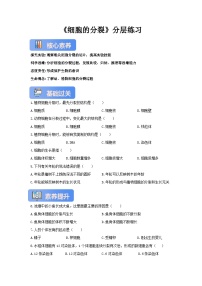 冀少版（2024）细胞的分裂精品课时训练