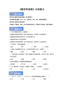 冀少版（2024）七年级上册（2024）器官和系统精品当堂达标检测题